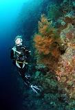 33 Bunaken Island